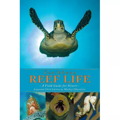 Caribbean Reef Life