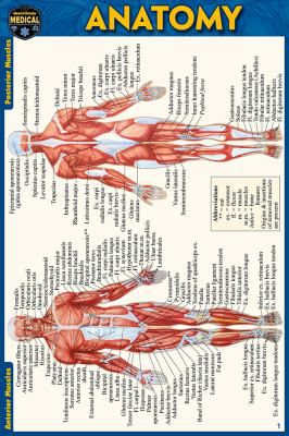 ANATOMY POCKET-SIZED