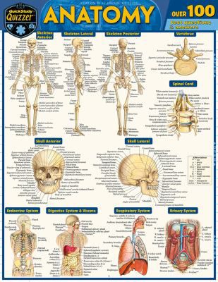 ANATOMY QUIZZER
